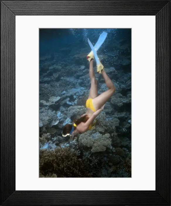 Framed Print : Picture No. 10739824 Framed Print : Picture No. 10739824
