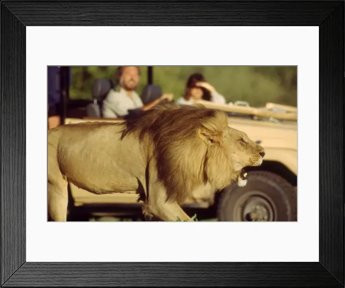 Framed Print : Picture No. 10739858