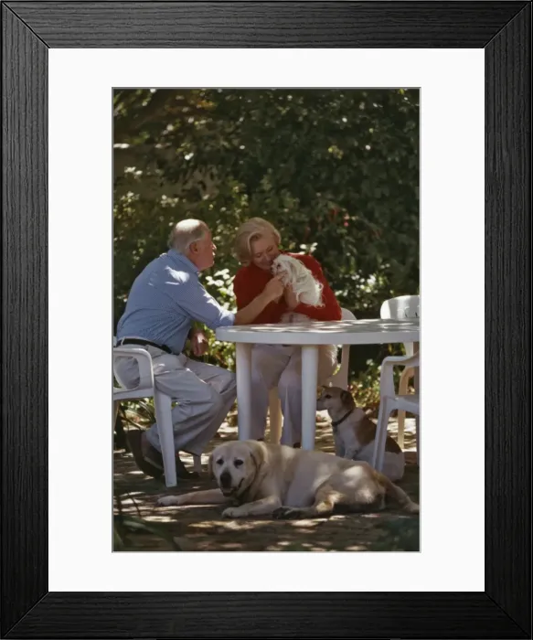 Framed Print : Picture No. 10739889 Framed Print : Picture No. 10739889