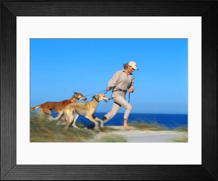 Framed Print : Picture No. 10739890