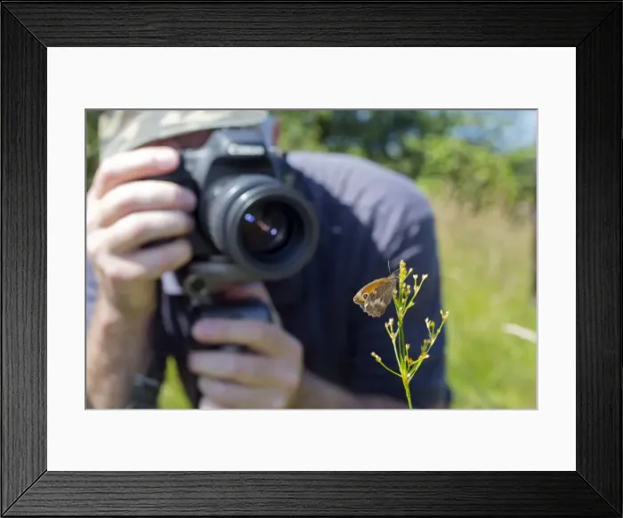 Framed Print : Picture No. 10739968 Framed Print : Picture No. 10739968