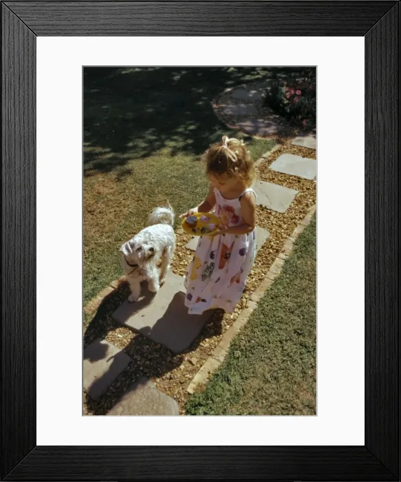 Framed Print : Picture No. 10739892 Framed Print : Picture No. 10739892