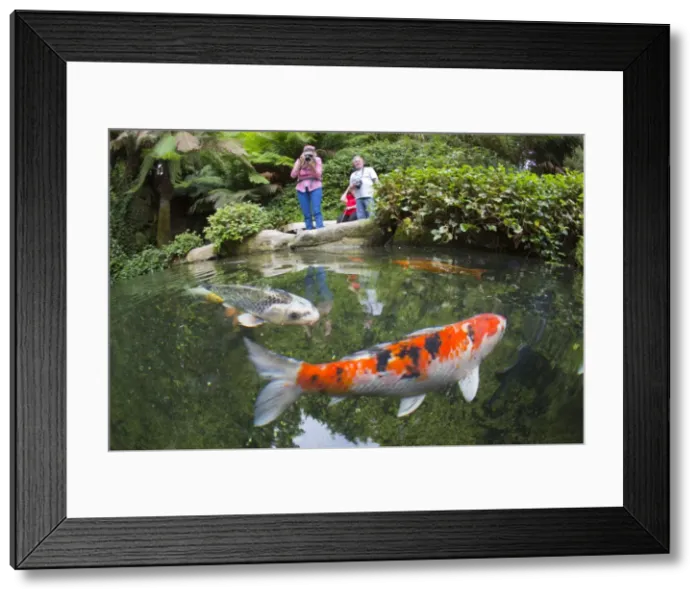 Framed Print : Picture No. 10740077 Framed Print : Picture No. 10740077