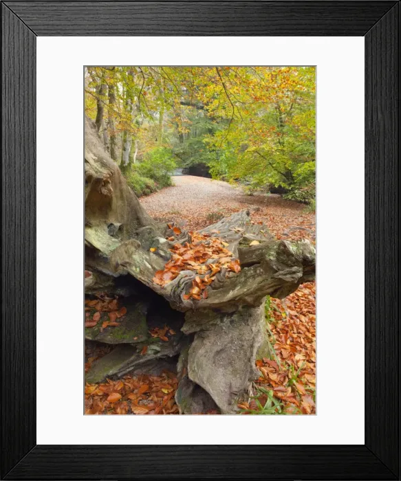 Framed Print : Picture No. 10740311 Framed Print : Picture No. 10740311