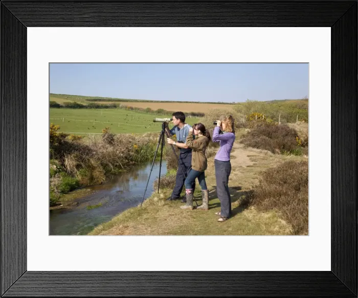 Framed Print : Picture No. 10740526 Framed Print : Picture No. 10740526