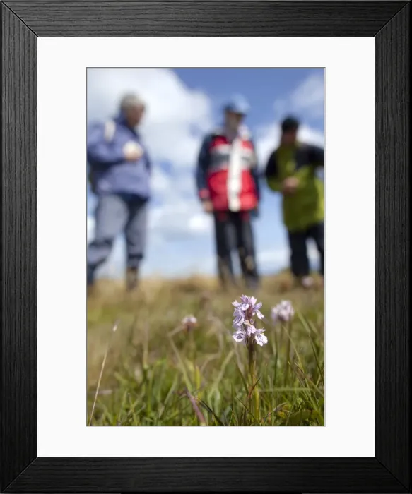 Framed Print : Picture No. 10740502 Framed Print : Picture No. 10740502