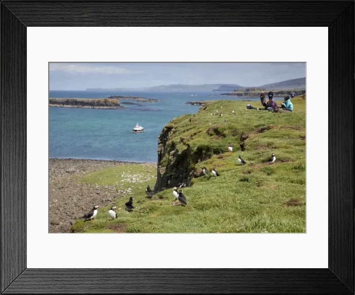 Framed Print : Picture No. 10740601 Framed Print : Picture No. 10740601