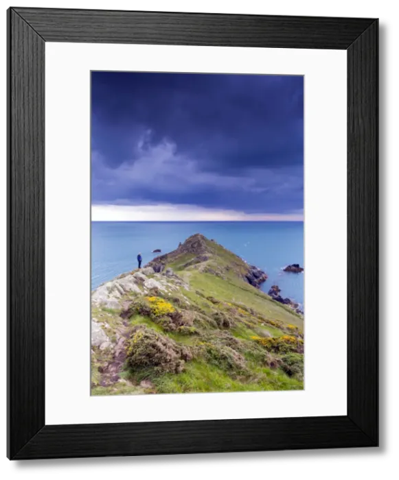 Framed Print : Picture No. 10740970 Framed Print : Picture No. 10740970