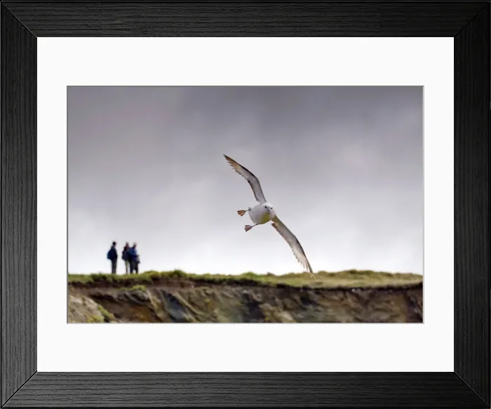 Framed Print : Picture No. 10741040 Framed Print : Picture No. 10741040