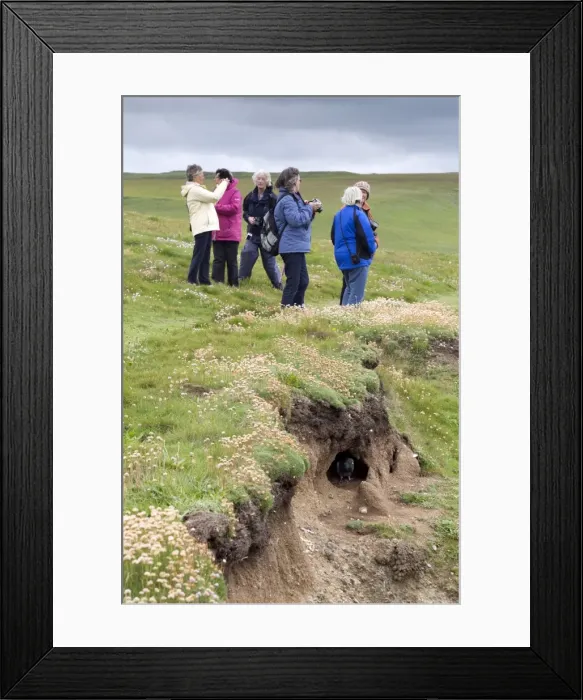 Framed Print : Picture No. 10741039 Framed Print : Picture No. 10741039