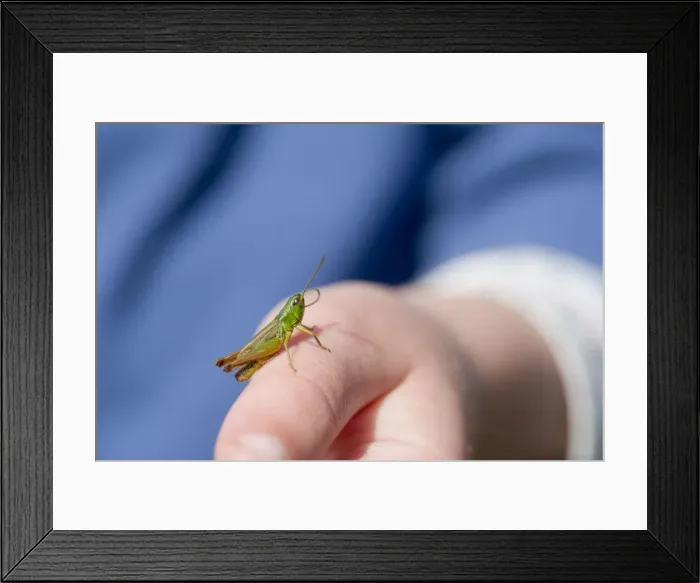 Framed Print : Picture No. 10741095