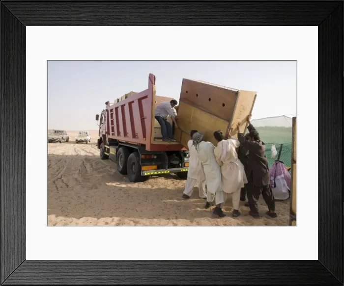 Framed Print : Picture No. 10741546 Framed Print : Picture No. 10741546