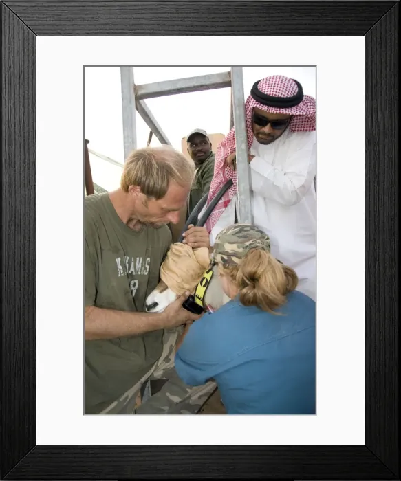 Framed Print : Picture No. 10741547 Framed Print : Picture No. 10741547