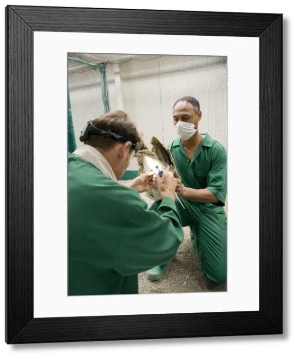 Framed Print : Picture No. 10741553 Framed Print : Picture No. 10741553