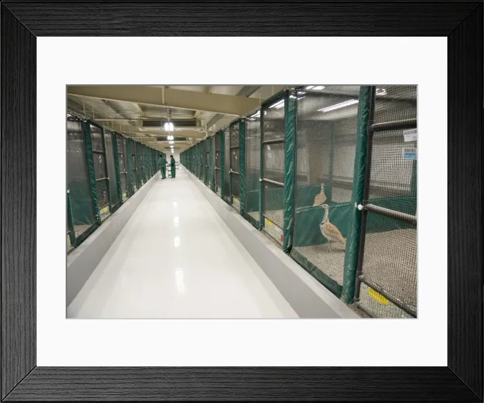 Framed Print : Picture No. 10741552 Framed Print : Picture No. 10741552