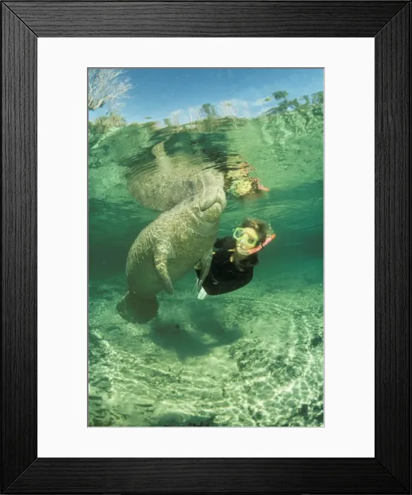 Framed Print : Picture No. 10741812 Framed Print : Picture No. 10741812