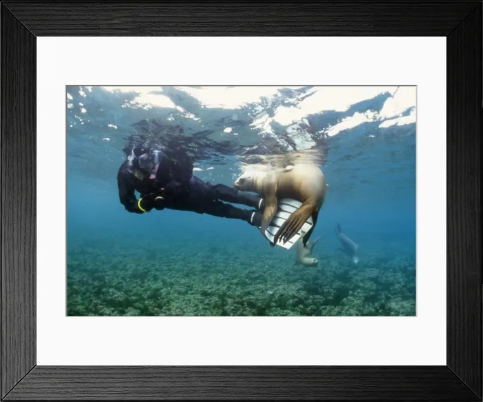 Framed Print : Picture No. 10741801