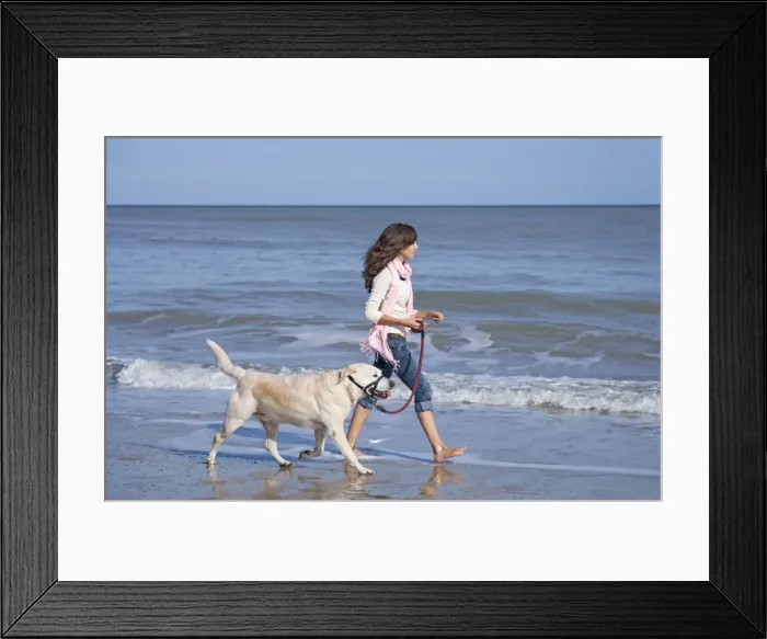 Framed Print : Picture No. 10741839 Framed Print : Picture No. 10741839