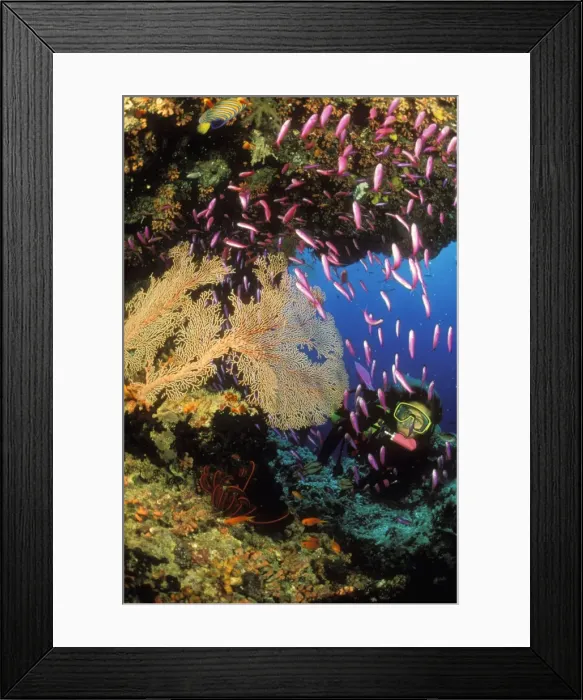 Framed Print : Picture No. 10741807 Framed Print : Picture No. 10741807
