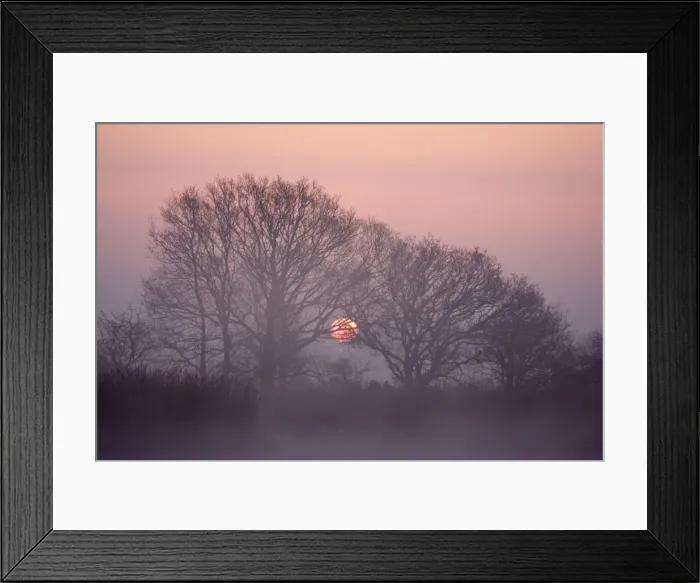 Framed Print : Picture No. 10742415 Framed Print : Picture No. 10742415