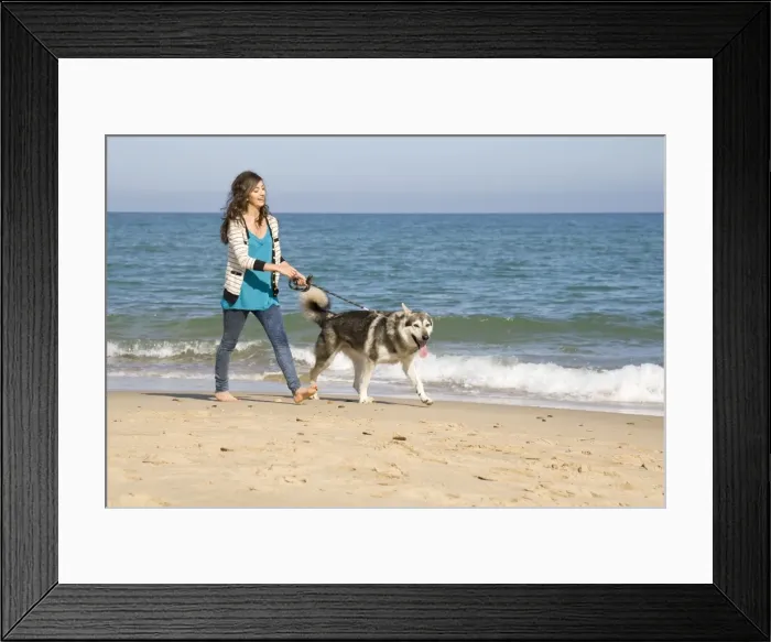 Framed Print : Picture No. 10742526 Framed Print : Picture No. 10742526
