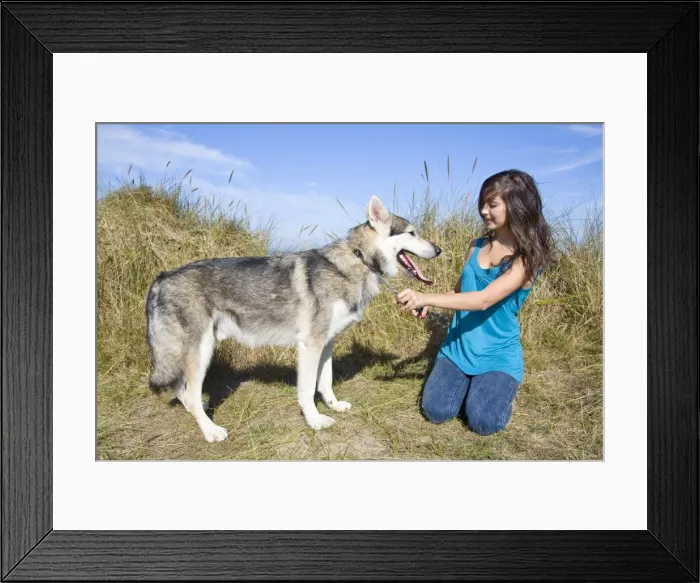 Framed Print : Picture No. 10742531 Framed Print : Picture No. 10742531