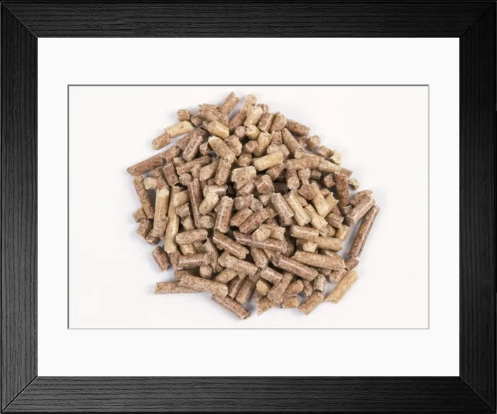 Framed Print : Picture No. 10742725 Framed Print : Picture No. 10742725
