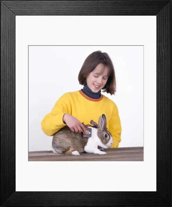 Framed Print : Picture No. 10742731 Framed Print : Picture No. 10742731