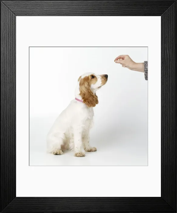 Framed Print : Picture No. 10742758 Framed Print : Picture No. 10742758