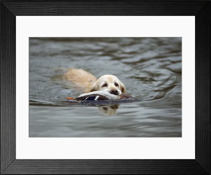 Framed Print : Picture No. 10742722 Framed Print : Picture No. 10742722
