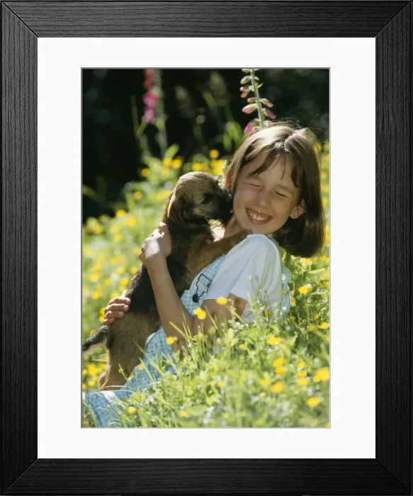 Framed Print : Picture No. 10742836 Framed Print : Picture No. 10742836