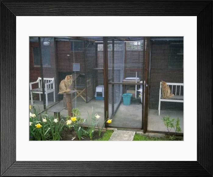 Framed Print : Picture No. 10742855 Framed Print : Picture No. 10742855