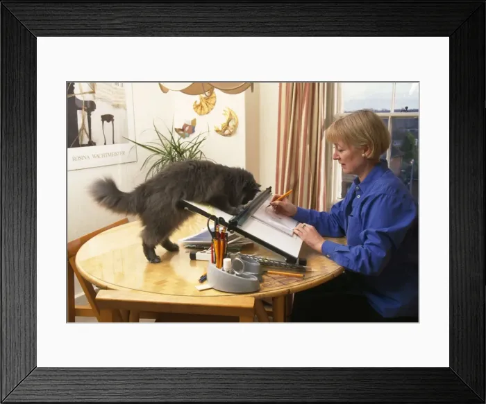 Framed Print : Picture No. 10742876