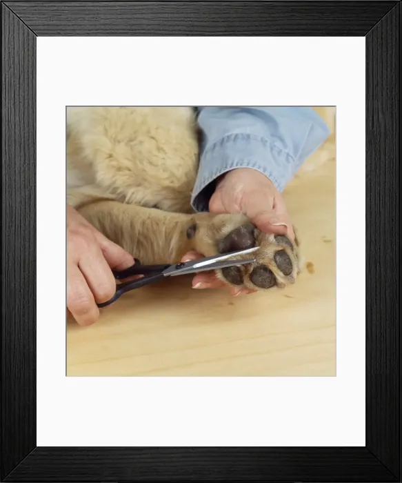 Framed Print : Picture No. 10743025 Framed Print : Picture No. 10743025