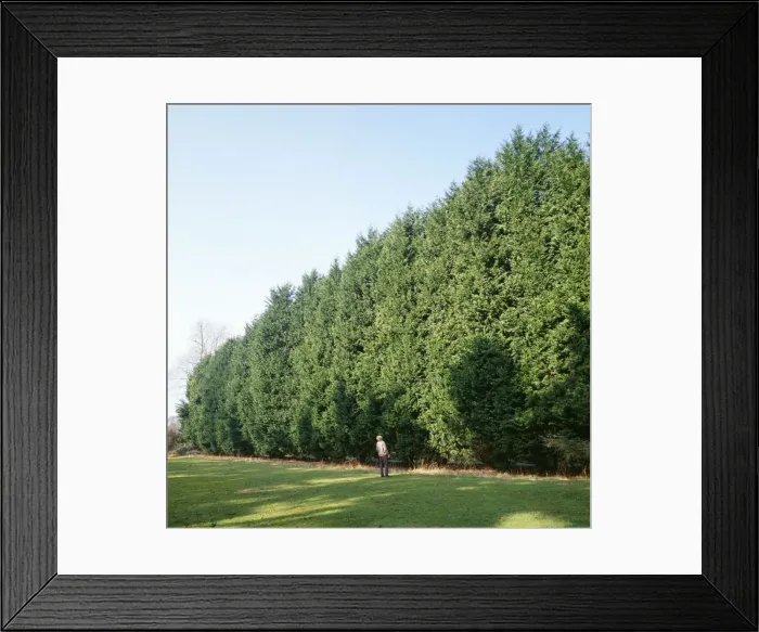 Framed Print : Picture No. 10743131 Framed Print : Picture No. 10743131