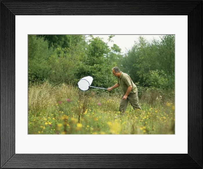 Framed Print : Picture No. 10743168 Framed Print : Picture No. 10743168