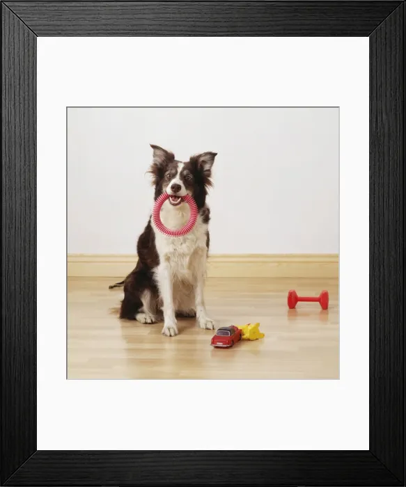 Framed Print : Picture No. 10743264 Framed Print : Picture No. 10743264