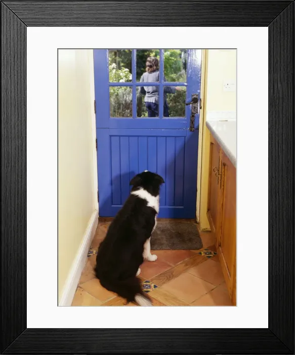 Framed Print : Picture No. 10743267 Framed Print : Picture No. 10743267