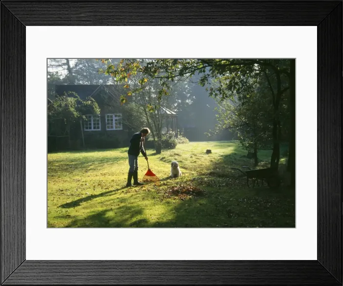 Framed Print : Picture No. 10743231