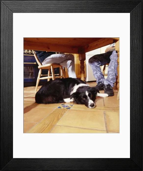Framed Print : Picture No. 10743268 Framed Print : Picture No. 10743268