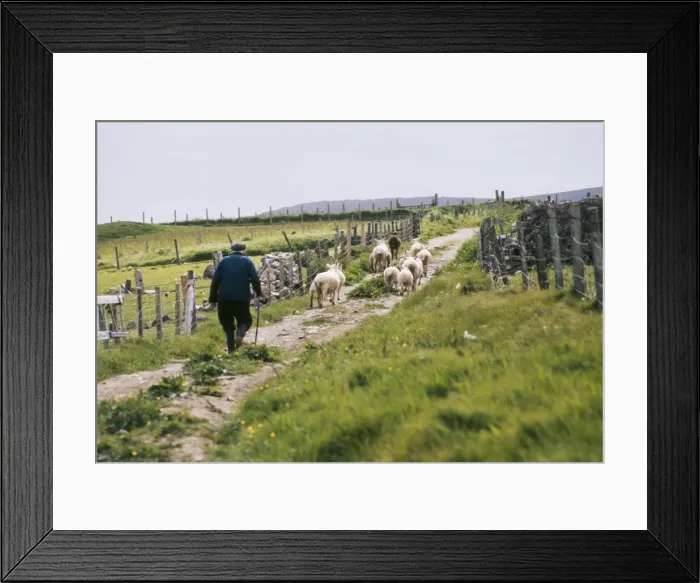 Framed Print : Picture No. 10743349 Framed Print : Picture No. 10743349