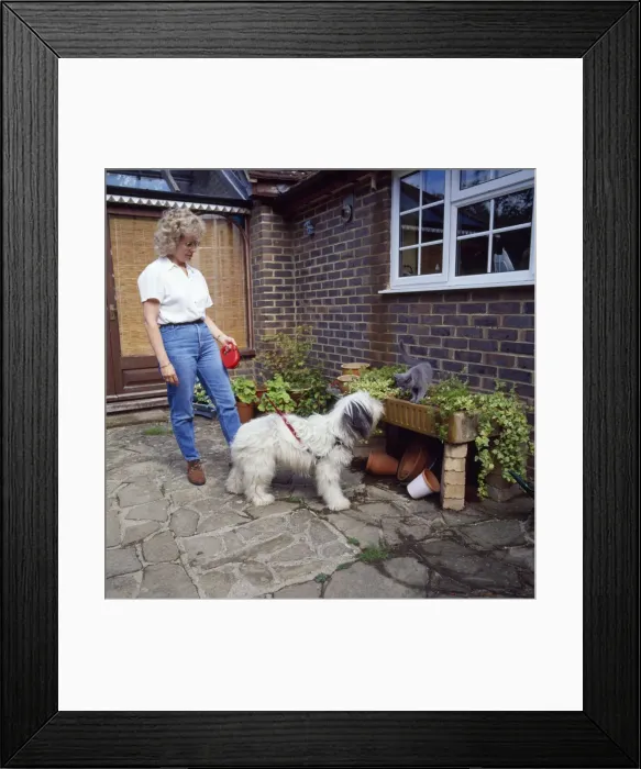 Framed Print : Picture No. 10743265 Framed Print : Picture No. 10743265