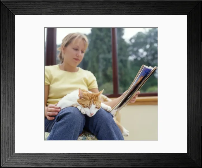 Framed Print : Picture No. 10743402 Framed Print : Picture No. 10743402