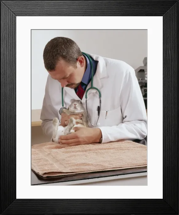 Framed Print : Picture No. 10743417 Framed Print : Picture No. 10743417