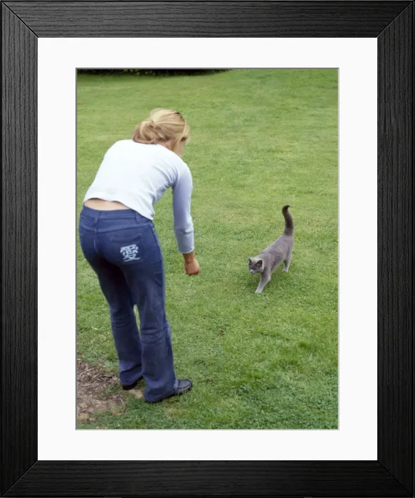 Framed Print : Picture No. 10743385 Framed Print : Picture No. 10743385