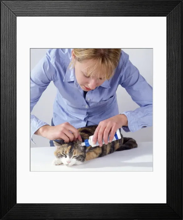 Framed Print : Picture No. 10743401 Framed Print : Picture No. 10743401