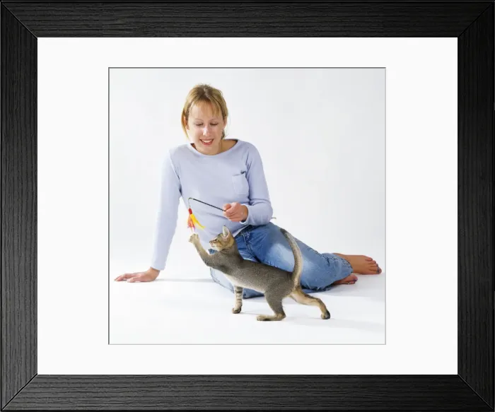 Framed Print : Picture No. 10743444 Framed Print : Picture No. 10743444