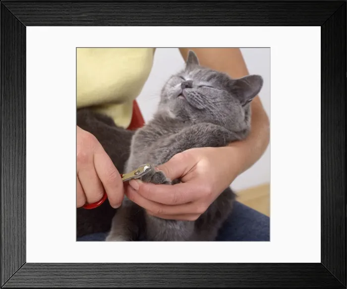 Framed Print : Picture No. 10743403 Framed Print : Picture No. 10743403