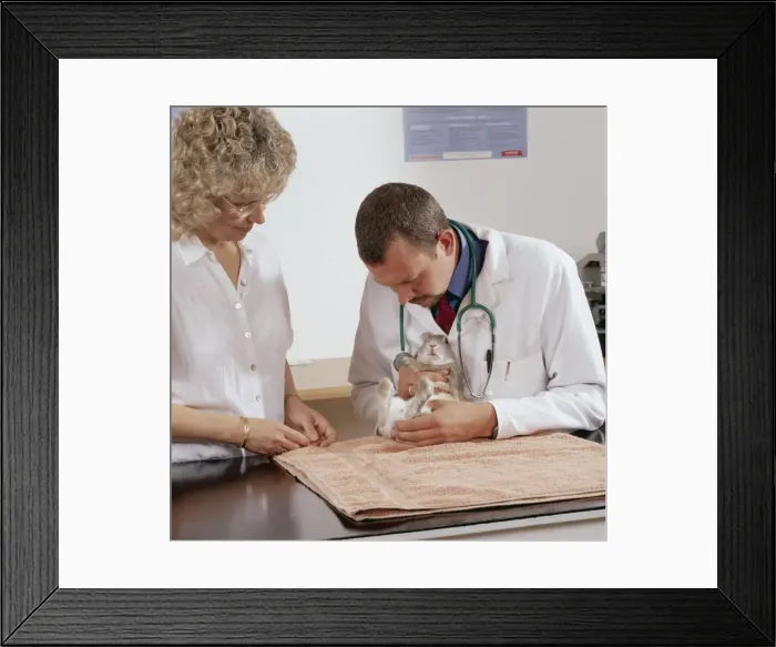 Framed Print : Picture No. 10743416