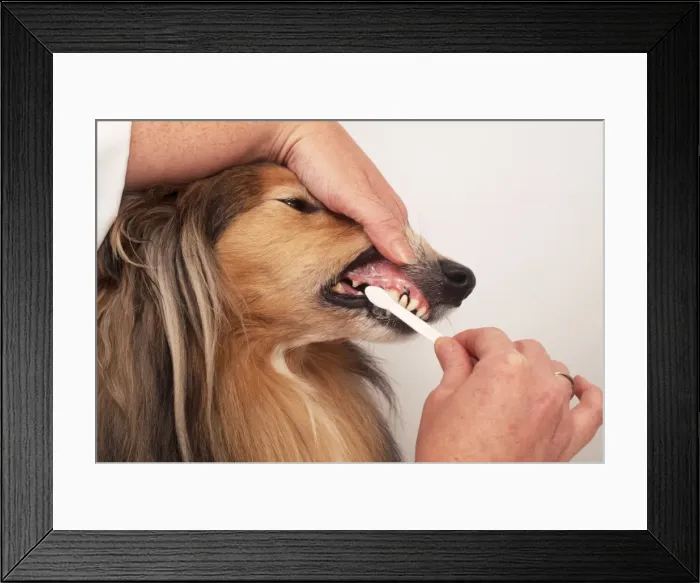 Framed Print : Picture No. 10743465 Framed Print : Picture No. 10743465